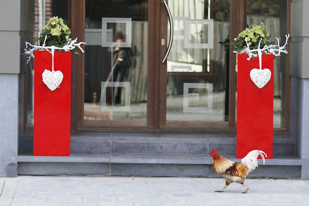 B&B Rouge E Blanc Meulebeke Εξωτερικό φωτογραφία
